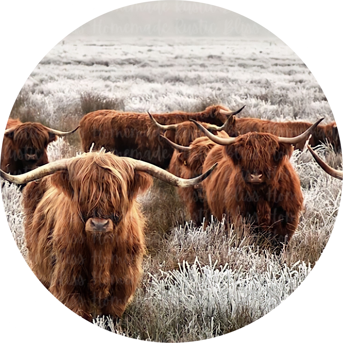 Longhorn Pack