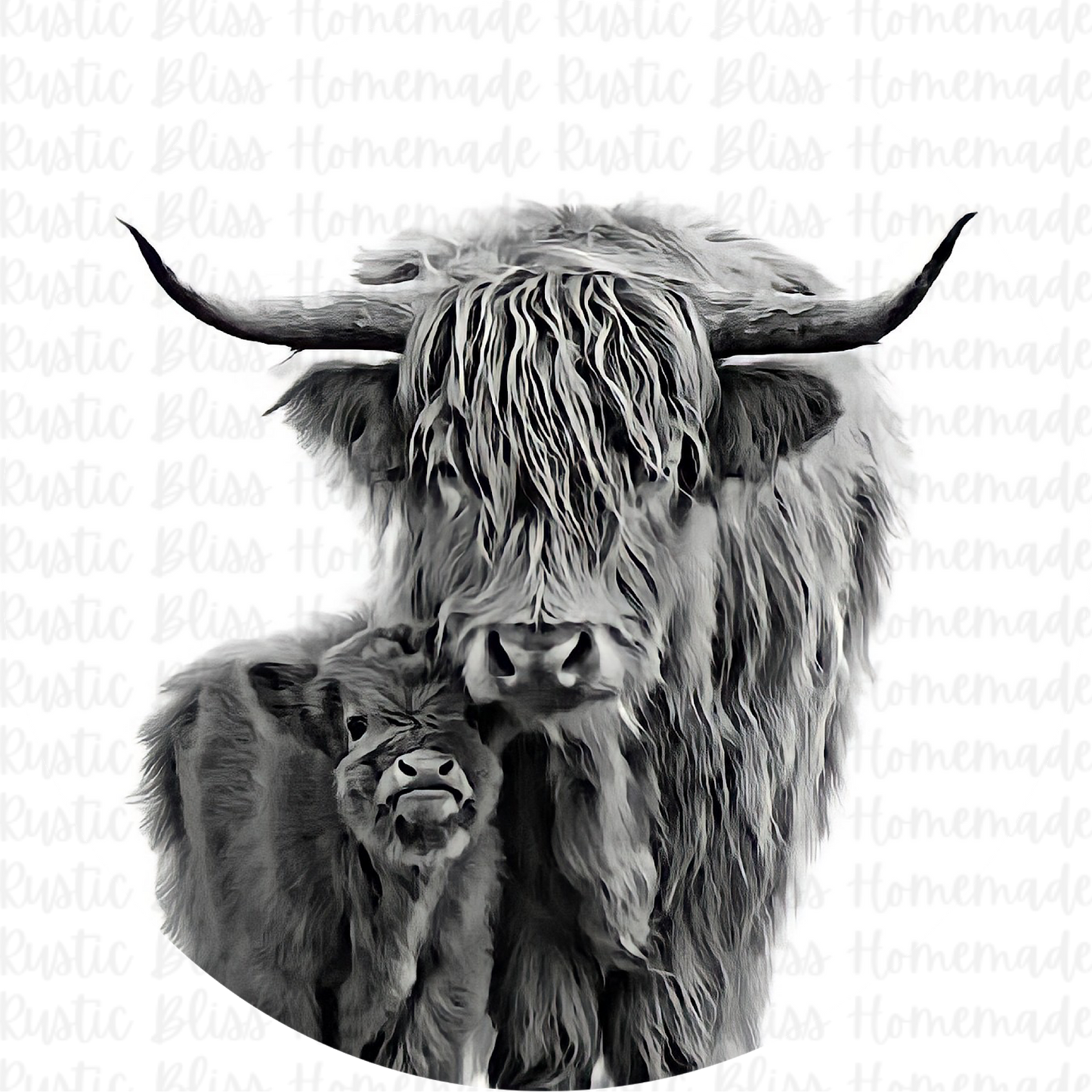 Longhorn B&W