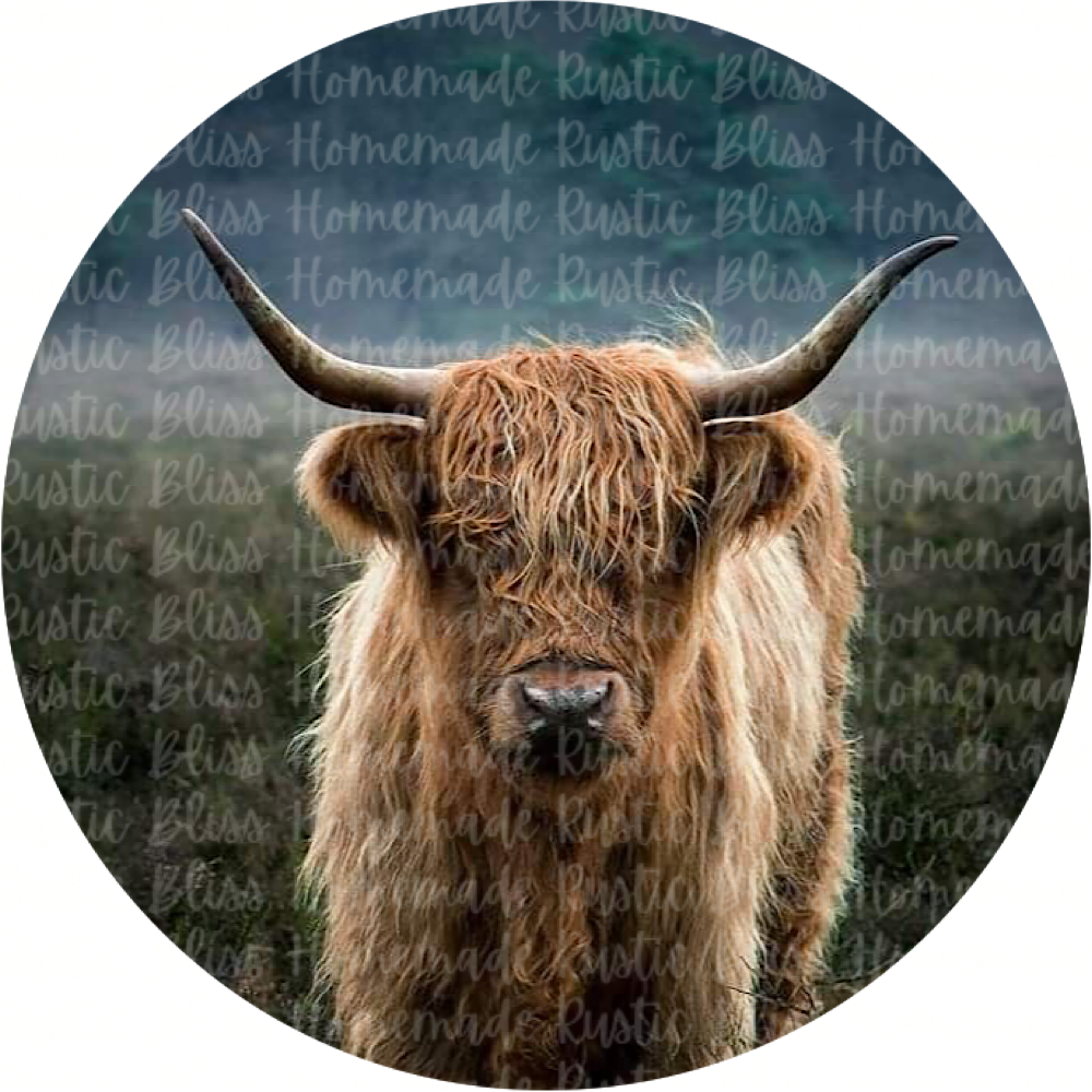 Longhorn