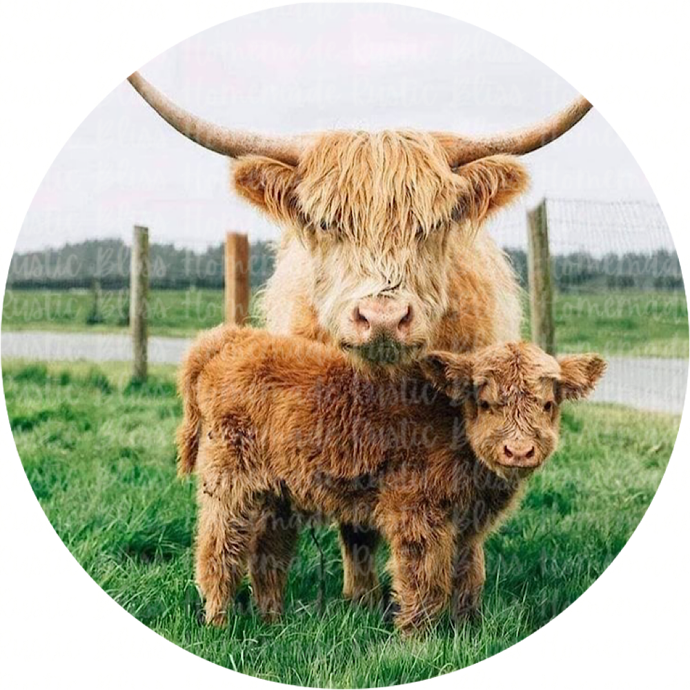 Longhorn Mama and Baby