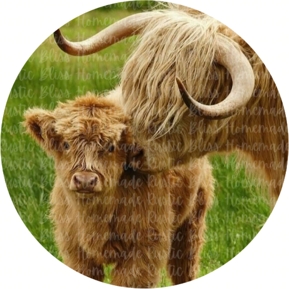 Longhorn Mama and Baby