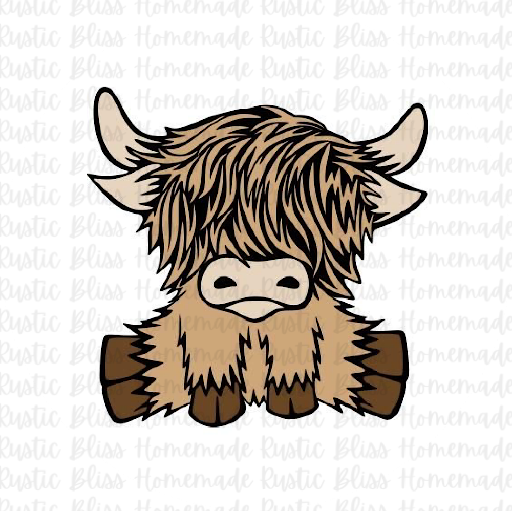 Shaggy Longhorn