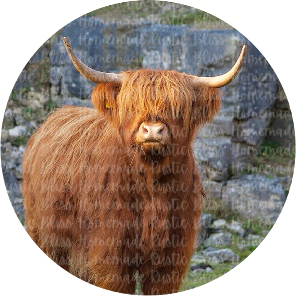 Longhorn